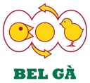 BEL GÀ VIỆT NAM