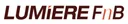 CÔNG TY CỔ PHẦN F&B AND ENTERTAINMENTS LUMIERE HOLDING