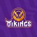 Công ty Cổ phần Vikings Việt Nam