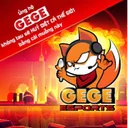 Công Ty TNHH Phát Triển Gege Esports