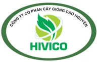 CÔNG TY CỔ PHẦN CÂY GIỐNG CAO NGUYÊN HIVICO