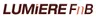CÔNG TY CỔ PHẦN F&B AND ENTERTAINMENTS LUMIERE HOLDING