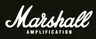 Công ty TNHH Marshall Amplification (Vietnam)