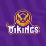 Công ty Cổ phần Vikings Việt Nam