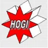 Công Ty TNHH Công Nghệ Hogi Việt Nam